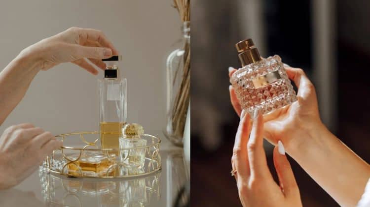 imagen-cuerpo imagen-cuerpo