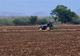Exportaciones del agro caen en Sonora