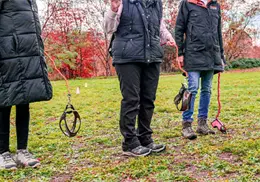 Hobby Dogging: Tendencia viral TikTok de pasear perros imaginarios, ¿Qué es?