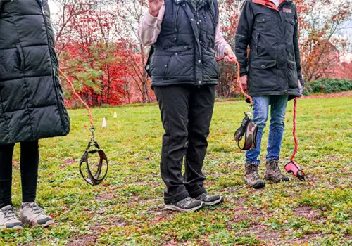 Hobby Dogging: Tendencia viral TikTok de pasear perros imaginarios, ¿Qué es? Hobby Dogging: Tendencia viral TikTok de pasear perros imaginarios, ¿Qué es?