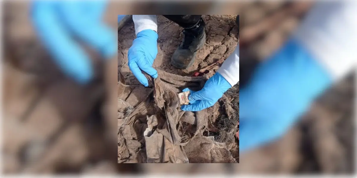 Hallan dos osamentas en predio de San Ignacio Río Muerto