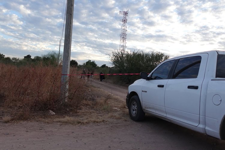 imagen-cuerpo imagen-cuerpo