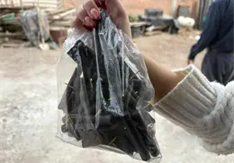 Persiste la pirotecnia en las colonias