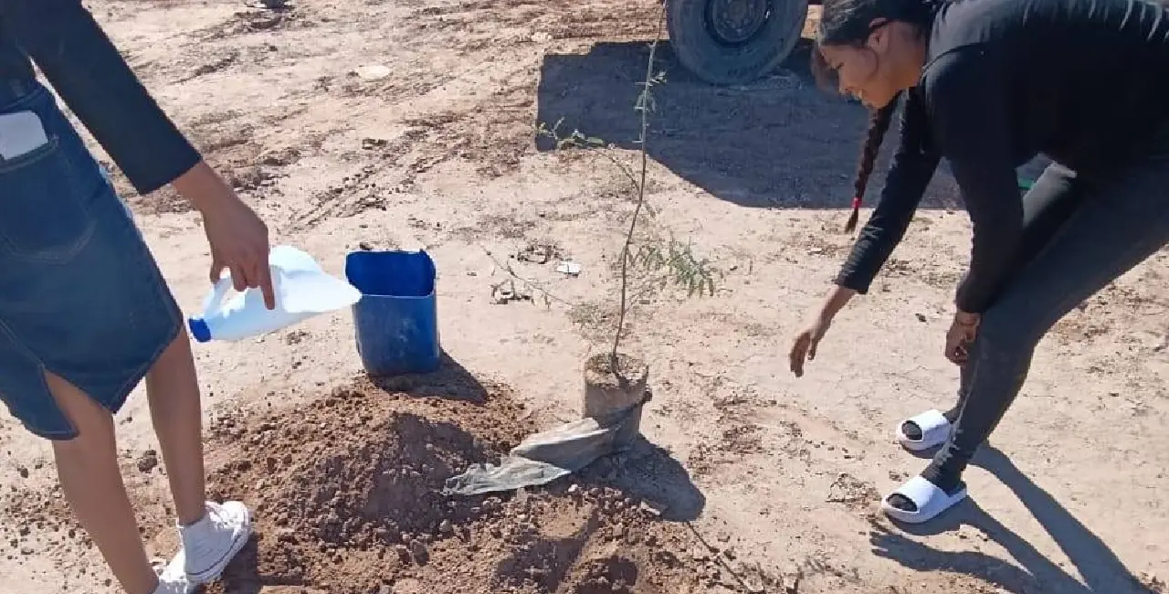 Suman esfuerzos para impulsar el cuidado ambiental