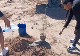 Suman esfuerzos para impulsar el cuidado ambiental