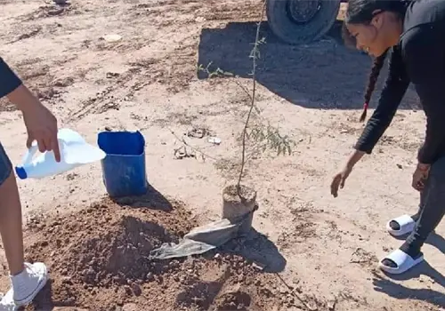 Suman esfuerzos para impulsar el cuidado ambiental Suman esfuerzos para impulsar el cuidado ambiental