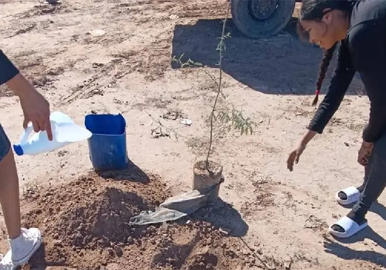 Suman esfuerzos para impulsar el cuidado ambiental