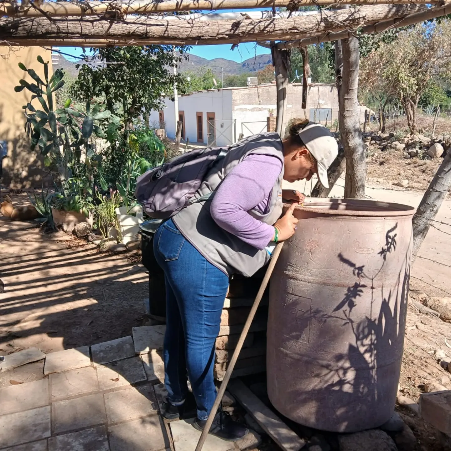 Llevan acciones de control larvario para Álamos