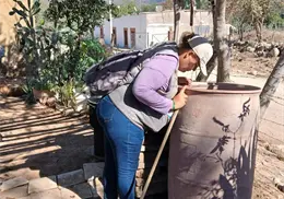 Llevan acciones de control larvario para Álamos Llevan acciones de control larvario para Álamos