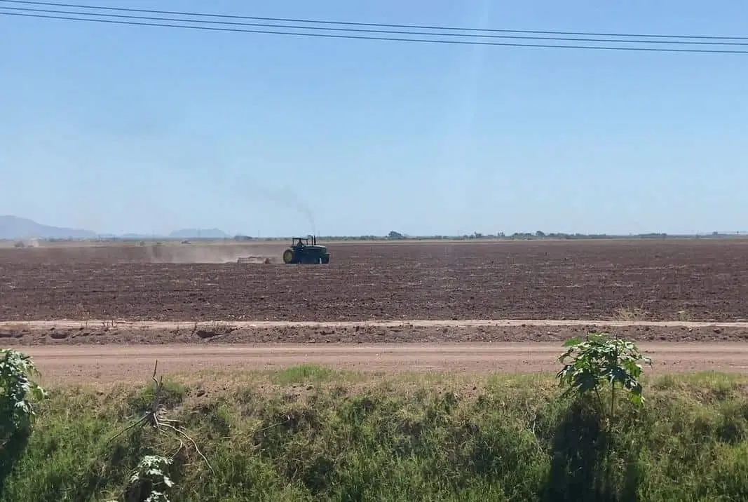 Cierra el sector agrícola un 2025 de desafíos en el Valle del Mayo