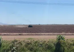 Cierra el sector agr&iacute;cola un 2025 de desaf&iacute;os en el Valle del Mayo