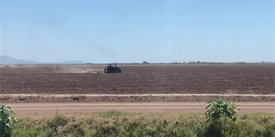 Cierra el sector agrícola un 2025 de desafíos en el Valle del Mayo Cierra el sector agrícola un 2025 de desafíos en el Valle del Mayo