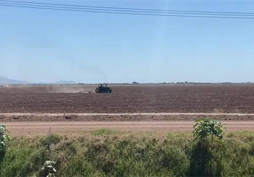 Cierra el sector agr&iacute;cola un 2025 de desaf&iacute;os en el Valle del Mayo