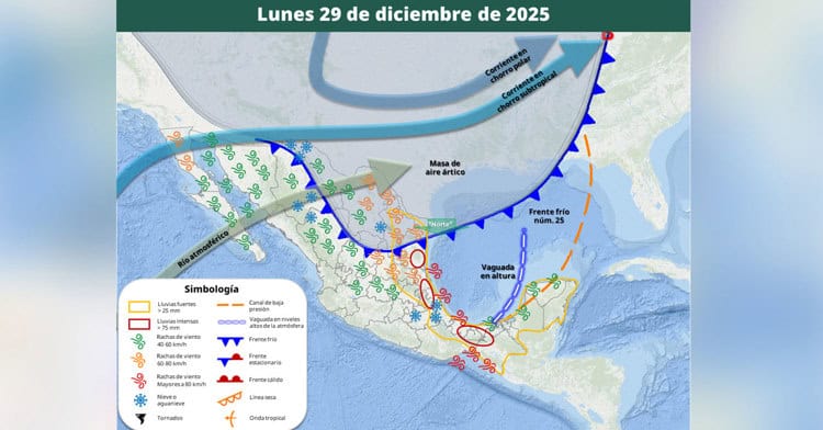 imagen-cuerpo imagen-cuerpo