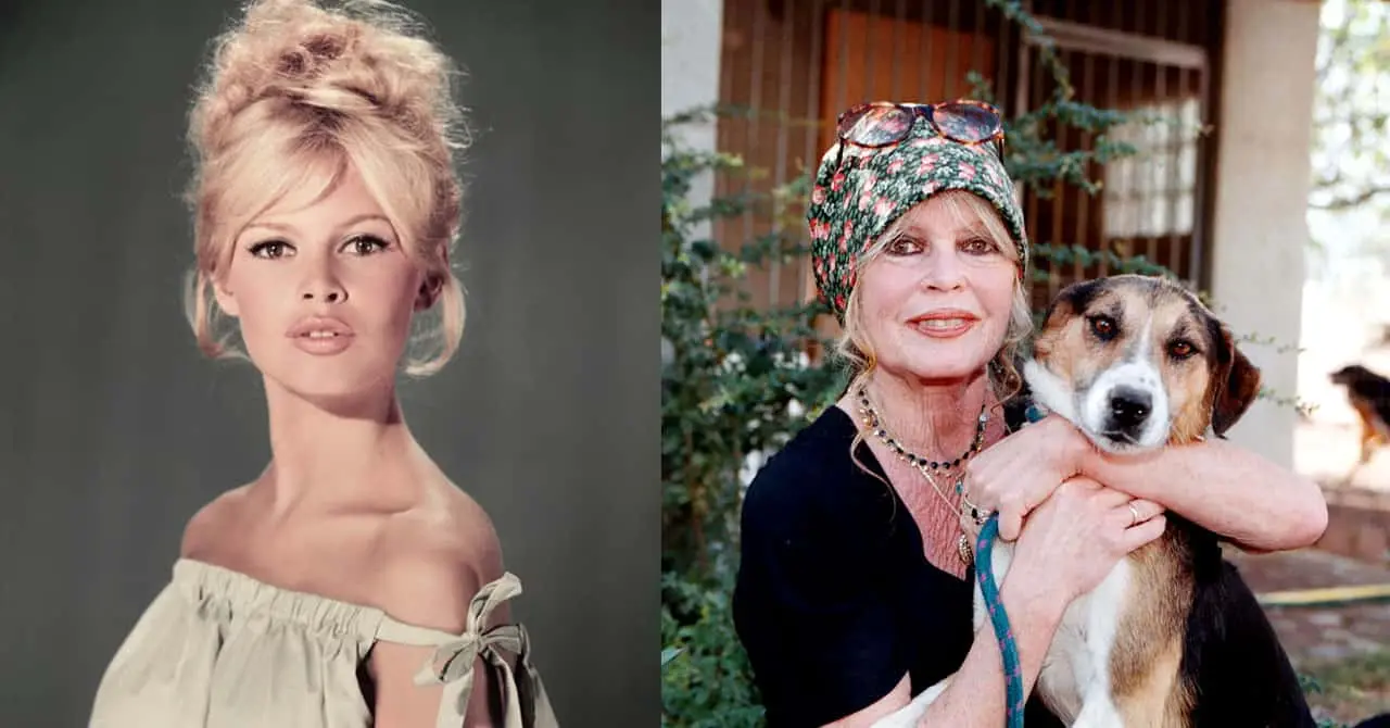 Brigitte Bardot fue un &iacute;cono de la liberaci&oacute;n femenina y sex simbol del cine franc&eacute;s.