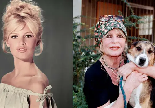Muere Brigitte Bardot: ¿Quién fue la leyenda del cine, ícono de la liberación sexual y defensora de los animales? Muere Brigitte Bardot: ¿Quién fue la leyenda del cine, ícono de la liberación sexual y defensora de los animales?