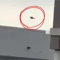 VIDEO | Momento exacto donde 2 helic&oacute;pteros chocan en Nueva Jersey