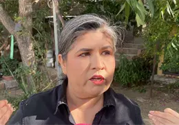 &iquest;La citronela es buena para acabar con los moscos?