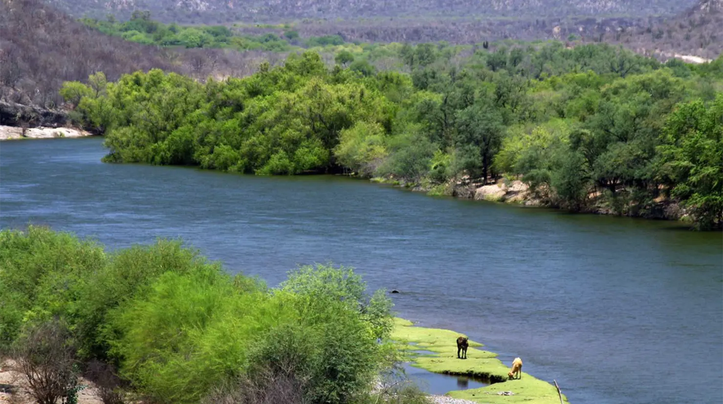 R&iacute;o Sonora: inicia remediaci&oacute;n hist&oacute;rica tras derrame de 2014; Grupo M&eacute;xico aportar&aacute; mil 500 mdp