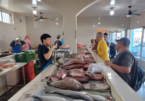 Se espera repunte en venta de pescados y mariscos en enero