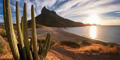 ¿Qué hacer en Sonora en 2026? Los mejores destinos para unas vacaciones inolvidables ¿Qué hacer en Sonora en 2026? Los mejores destinos para unas vacaciones inolvidables