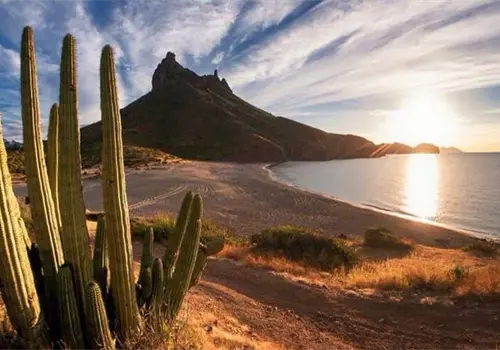 ¿Qué hacer en Sonora en 2026? Los mejores destinos para unas vacaciones inolvidables ¿Qué hacer en Sonora en 2026? Los mejores destinos para unas vacaciones inolvidables