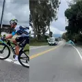 Guacamaya sorprende al volar junto a ciclista en carretera, maravillando a miles en redes sociales | VIDEO