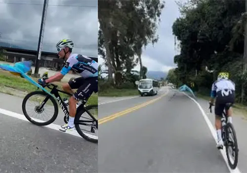 Guacamaya sorprende al volar junto a ciclista en carretera, maravillando a miles en redes sociales | VIDEO Guacamaya sorprende al volar junto a ciclista en carretera, maravillando a miles en redes sociales | VIDEO