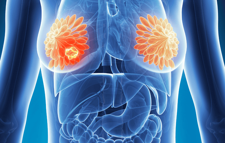 imagen-cuerpo imagen-cuerpo