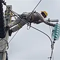 CFE restablece al 100% la electricidad tras sismo de 6.5 en Guerrero y CDMX CFE restablece al 100% la electricidad tras sismo de 6.5 en Guerrero y CDMX