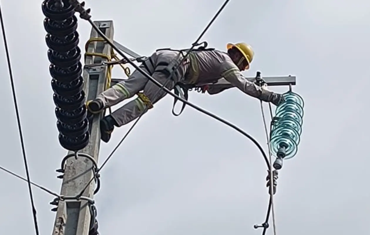 M&aacute;s de 350 trabajadores apoyaron las labores.