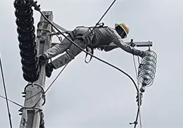 CFE restablece al 100% la electricidad tras sismo de 6.5 en Guerrero y CDMX CFE restablece al 100% la electricidad tras sismo de 6.5 en Guerrero y CDMX