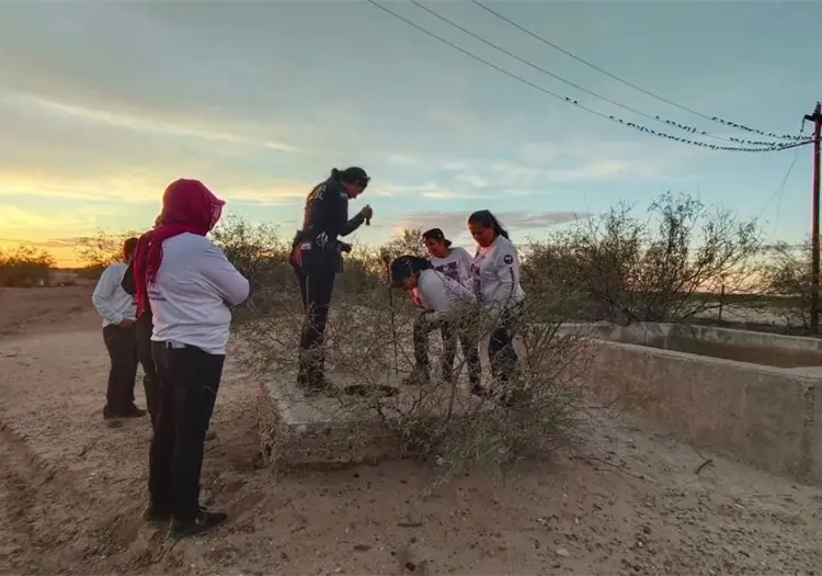 Colectivos estiman n&uacute;mero de desaparecidos en Sonora