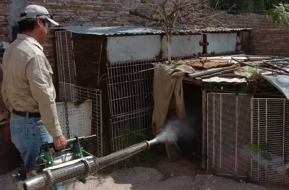 Navojoa cerr&oacute; el 2025 en cuarto lugar por casos de dengue