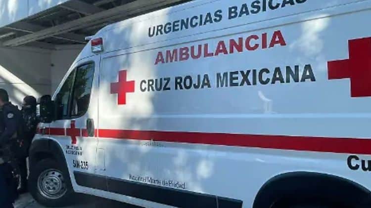 imagen-cuerpo imagen-cuerpo