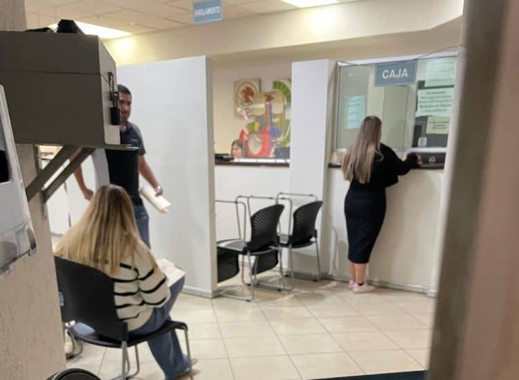 imagen-cuerpo imagen-cuerpo