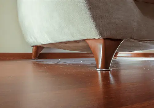 Polvo en casas mexicanas es hasta tres veces más tóxico que en Europa, alerta la UNAM Polvo en casas mexicanas es hasta tres veces más tóxico que en Europa, alerta la UNAM