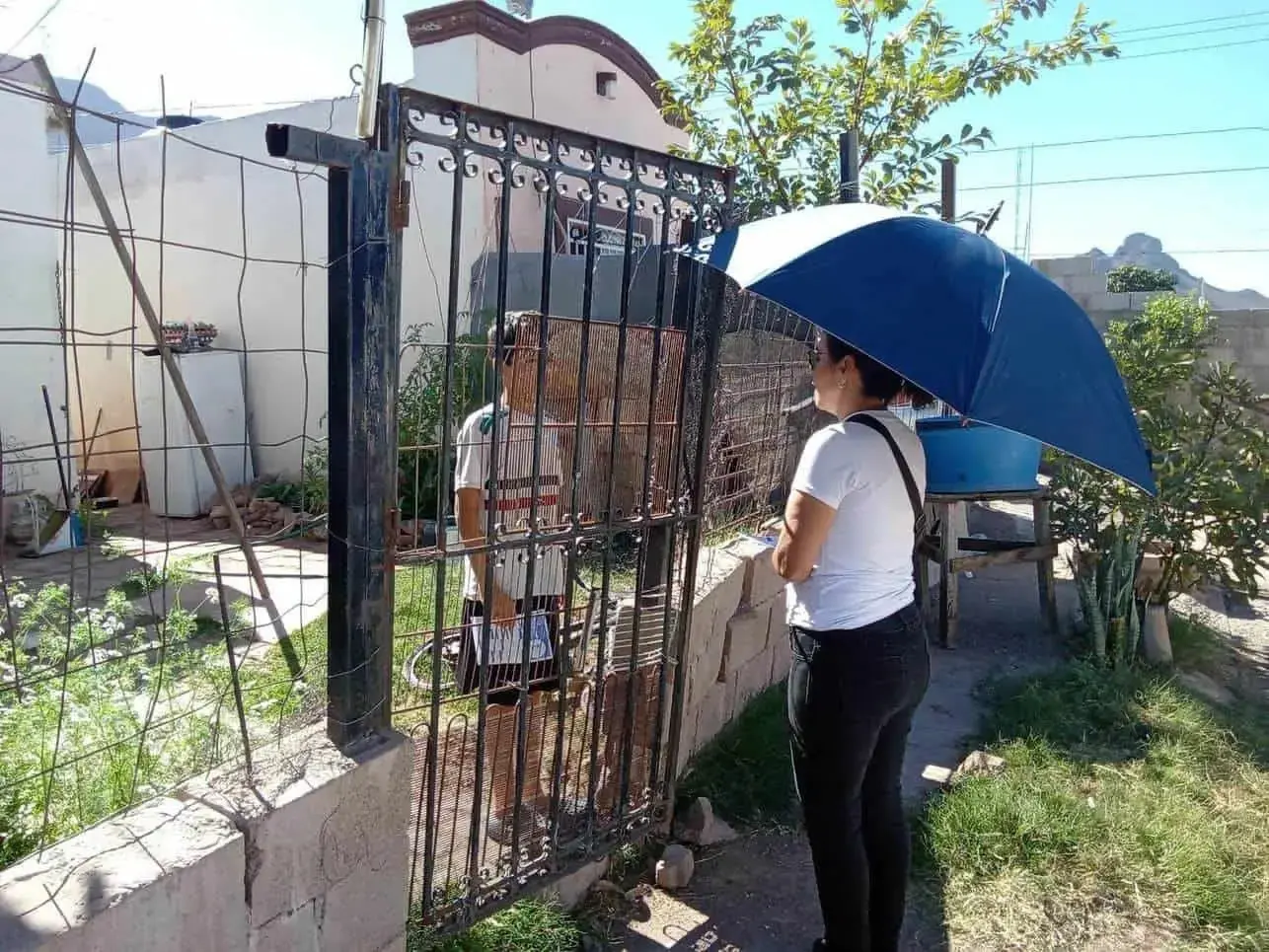 Di&oacute;cesis de Ciudad Obreg&oacute;n se prepara para Megamisi&oacute;n 2026