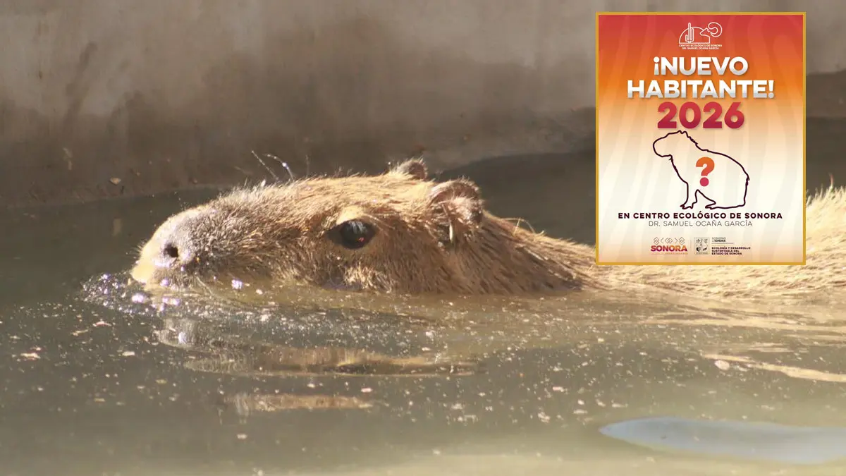 El Centro Ecológico de Sonora tendrá un nuevo inquilino este 2026.