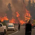 &iquest;Qu&eacute; est&aacute; pasando con los incendios forestales de la Patagonia en Argentina?