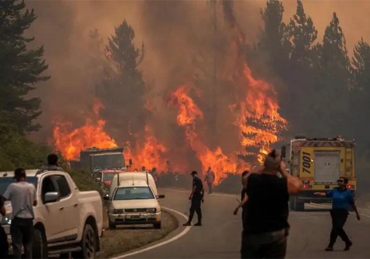 &iquest;Qu&eacute; est&aacute; pasando con los incendios forestales de la Patagonia en Argentina?