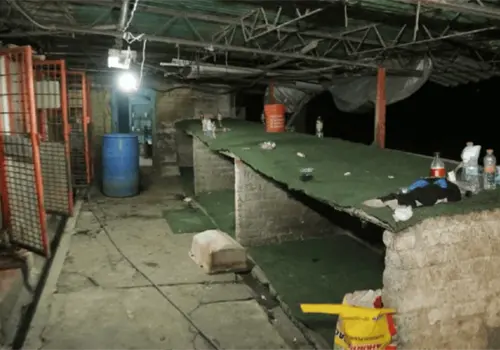 Hallan crematorio clandestino en refugio de perros de Cuajimalpa; Brugada descarta desarrollo inmobiliario