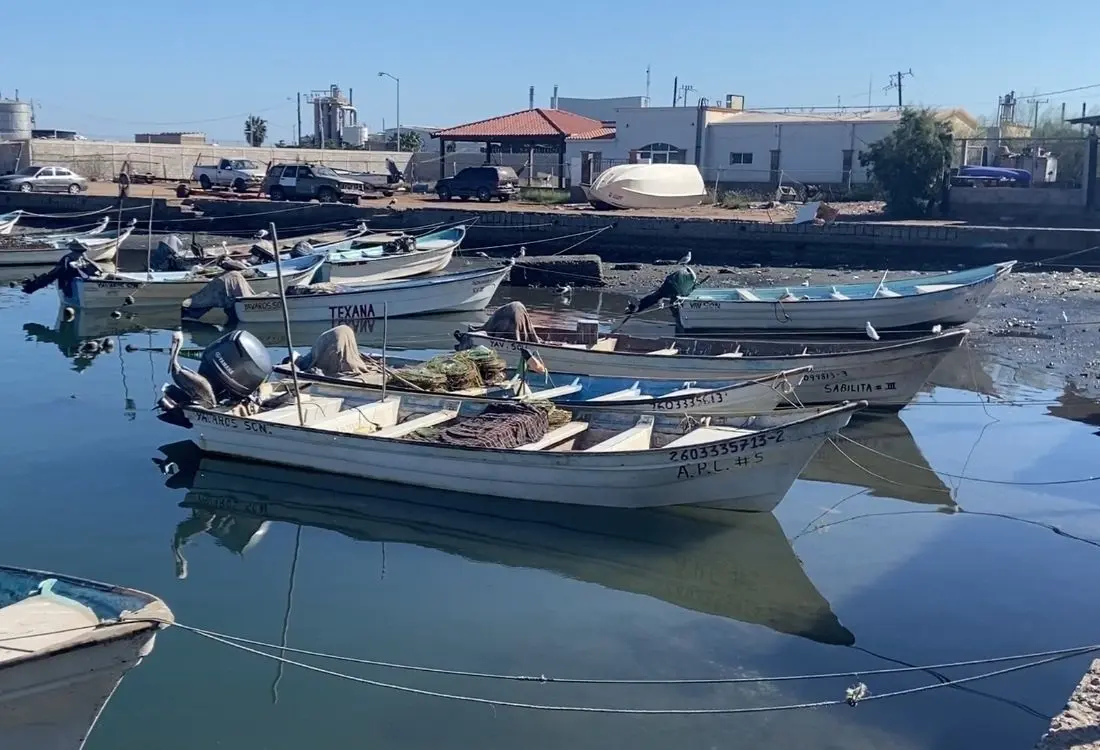 Crisis económica y escasez de producto redujeron 30% el padrón de pescadores en Yavaros
