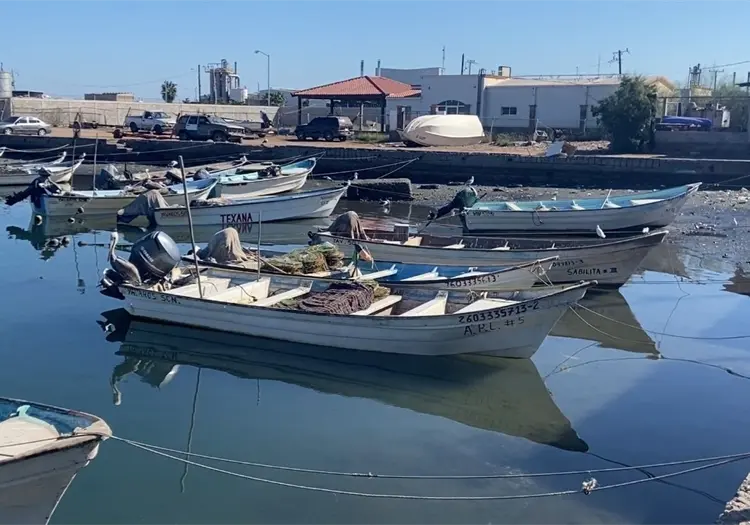 Crisis econ&oacute;mica y escasez de producto redujeron 30% el padr&oacute;n de pescadores en Yavaros