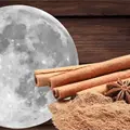 Rituales de Luna Nueva en enero: Cómo manifestar abundancia para este 2026 Rituales de Luna Nueva en enero: Cómo manifestar abundancia para este 2026