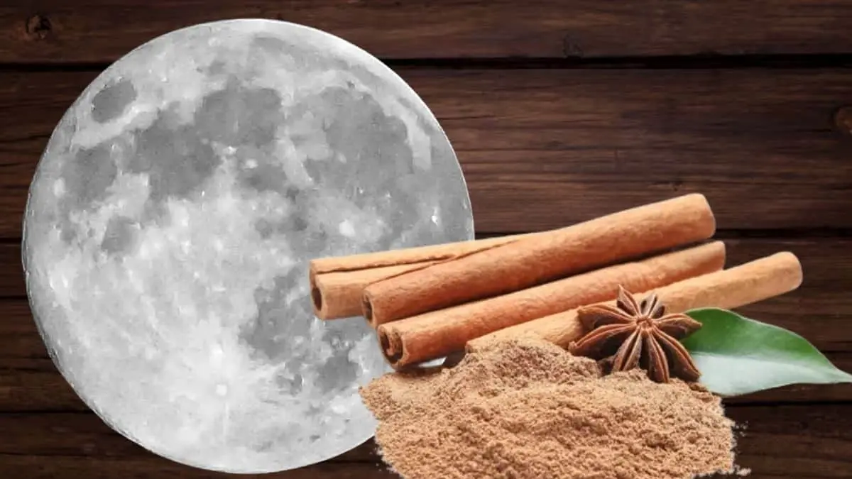 La Luna Nueva de enero simboliza el inicio de un nuevo ciclo y es aprovechada por muchas personas para enfocar intenciones de renovaci&oacute;n