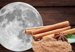 Rituales de Luna Nueva en enero: C&oacute;mo manifestar abundancia para este 2026