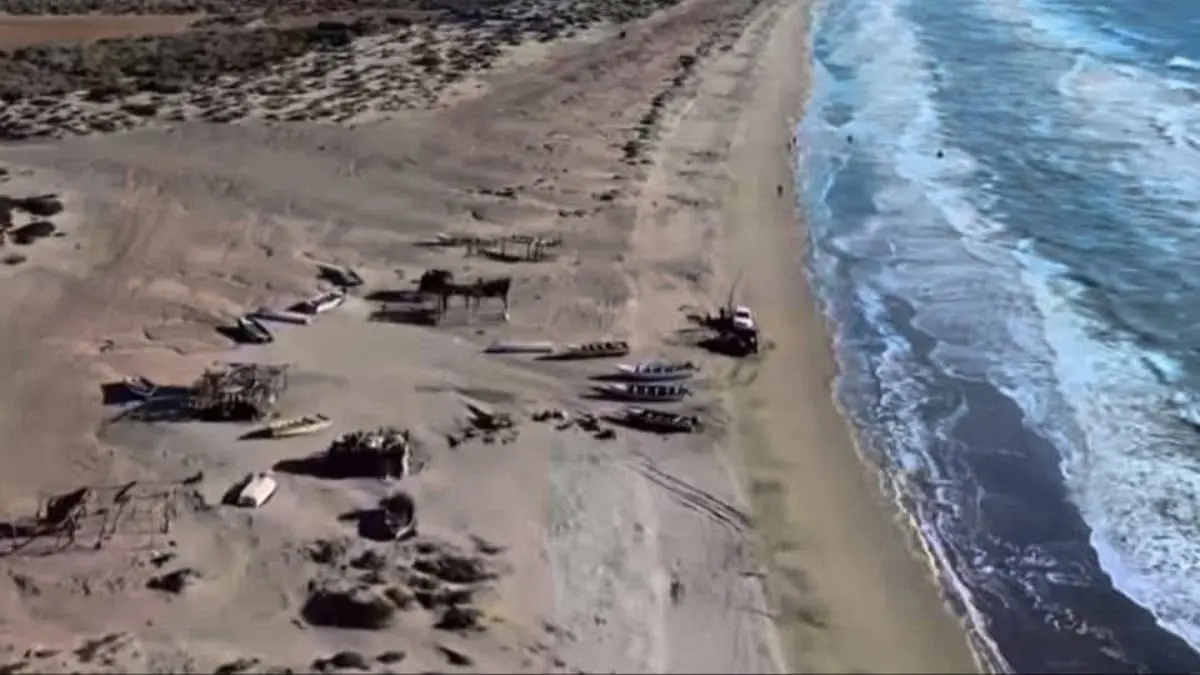 Se registra mortandad de peces en El Si&aacute;ric