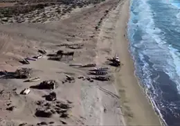 Se registra mortandad de peces en El Si&aacute;ric