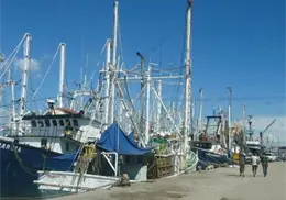 Frente Pesquero del Sur de Sonora exige control de barcos sardineros
